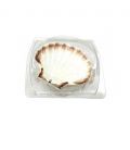 Barquettes couvercles/ 1 coquille saint-jacques